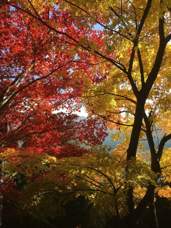 奥の院への道のり