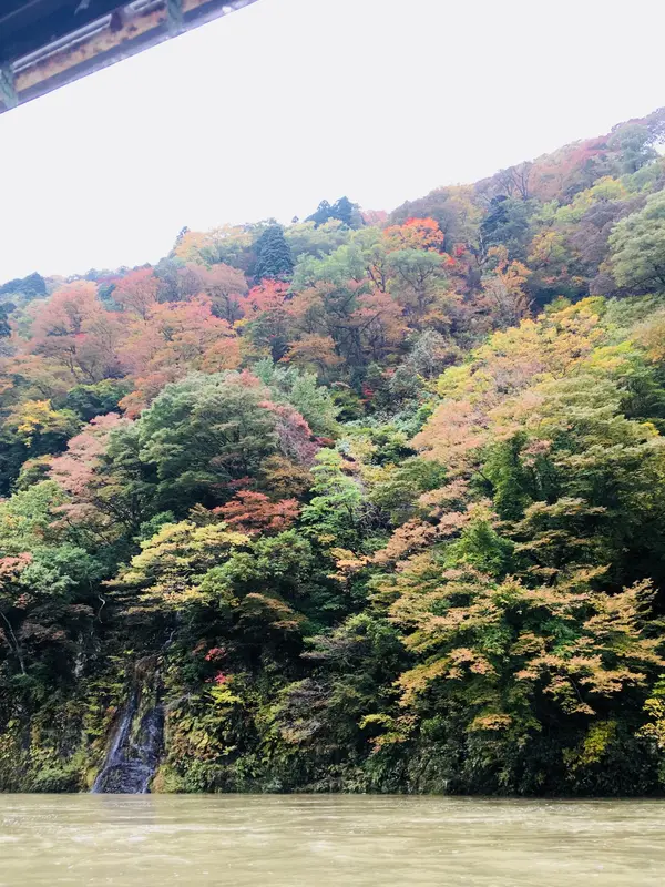 周遊舟の車窓から②