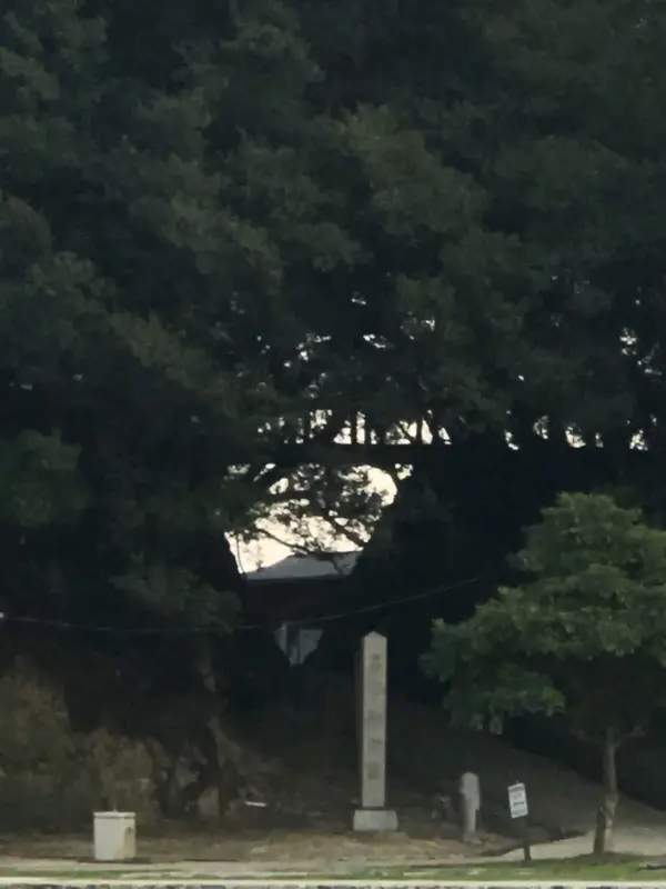 竜神橋