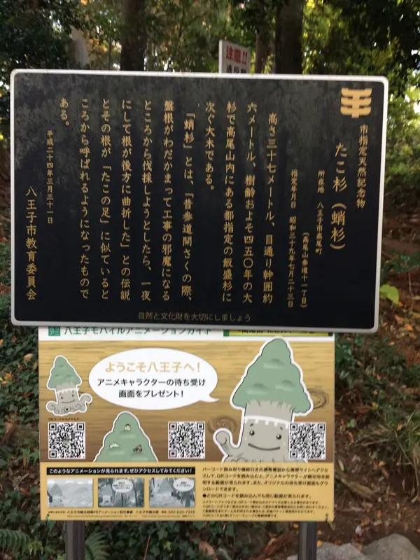 スポット内のおすすめ