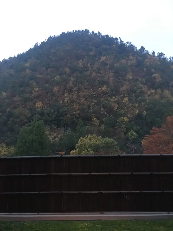 お部屋のテラスからの鷹峯