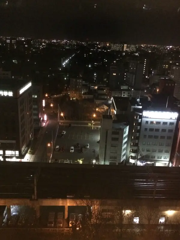 手前は線路