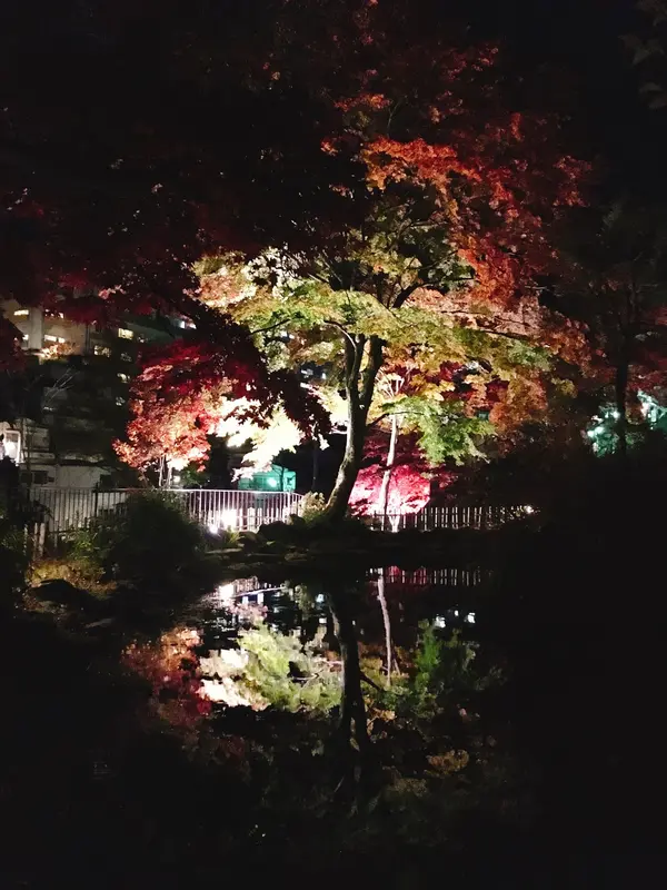 池に映る紅葉