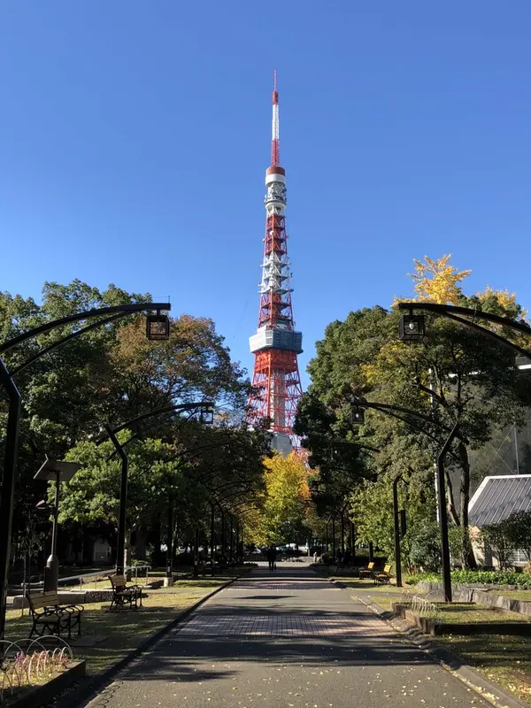 かなり綺麗