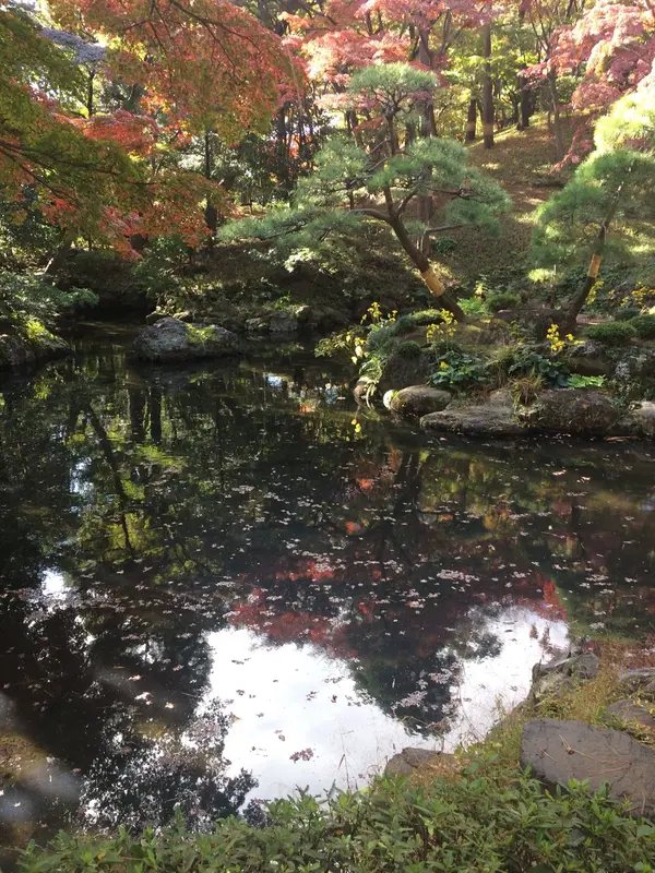 池に映り込む 紅葉🍁