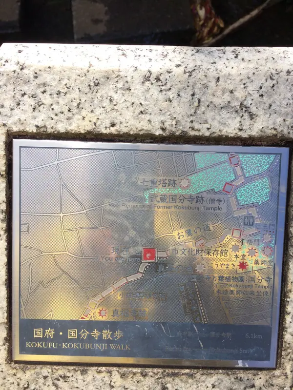 水路の案内図