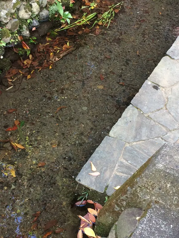 ホタル が 居るの かなぁ〜？