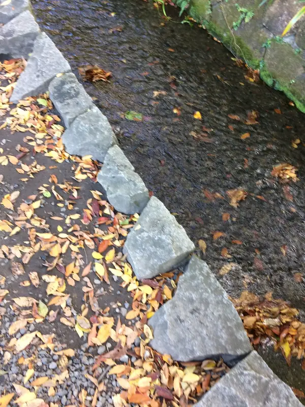 紅葉の 落ち葉 が せせらぎに のって 流れている。