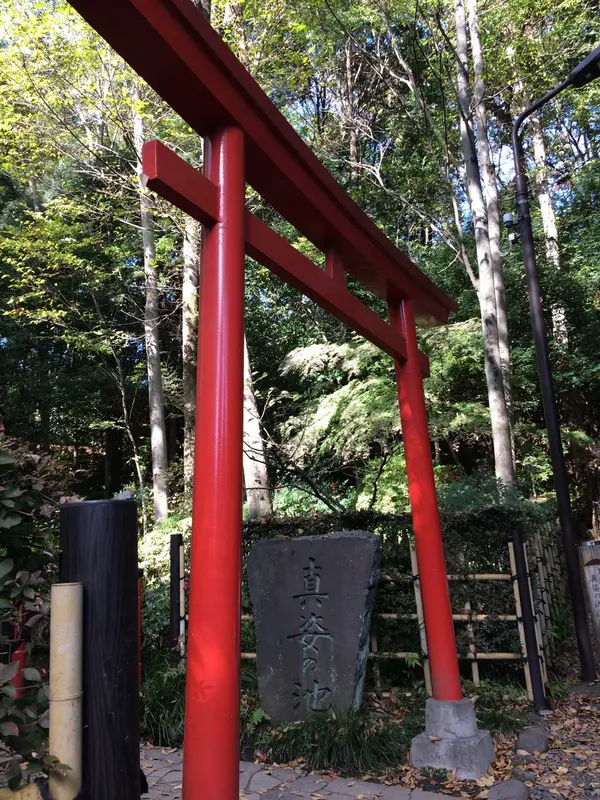 真姿の池 入口の 鳥居⛩