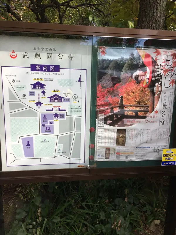 もみじ 紅葉