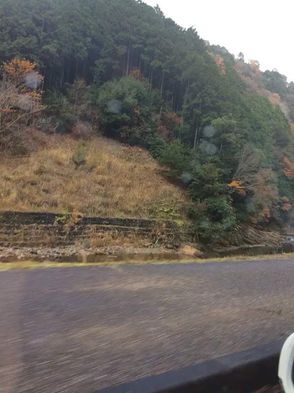 必ず 雨が降る 室生寺山道