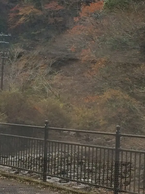 塀越しの 宇陀川
