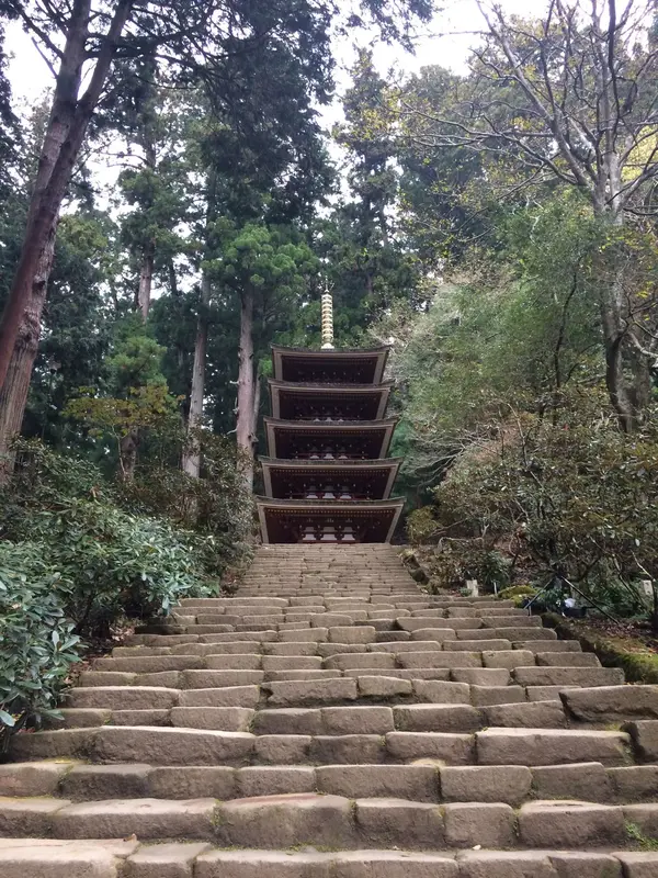 下から撮影してみました