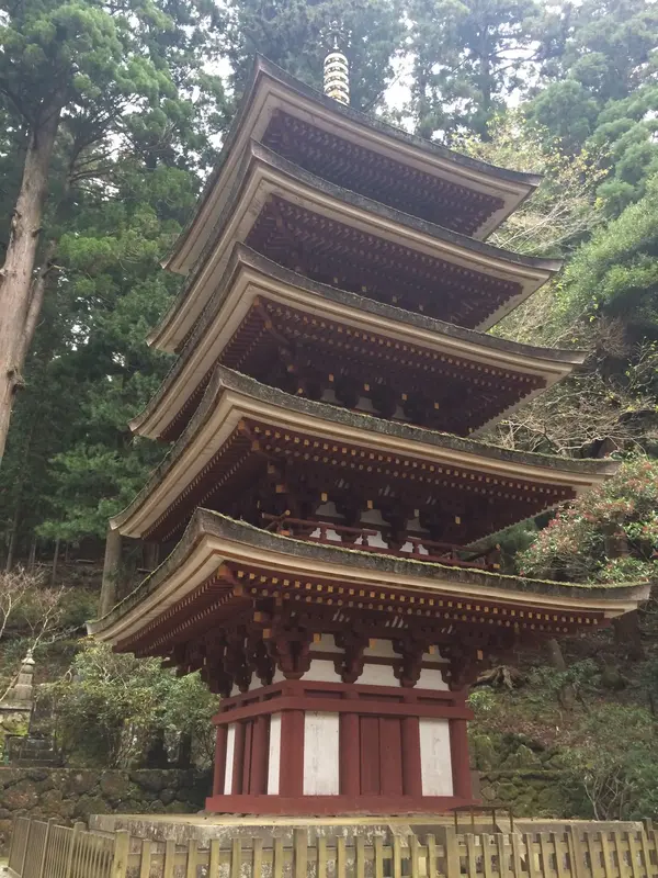 上段 左から撮影してみました