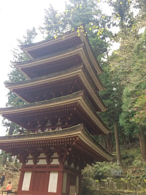 上段 右横から撮影