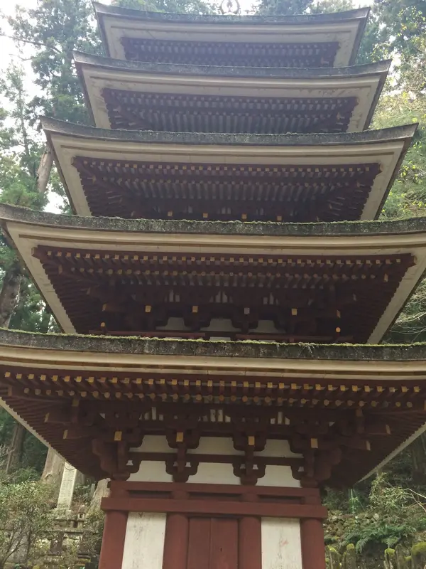 上段から撮影してみました