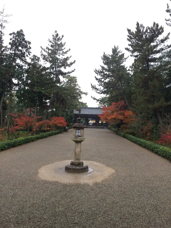 唐招提寺 の 有名な ワンショット