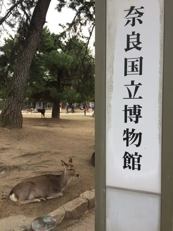 鹿と 案内看板 🦌