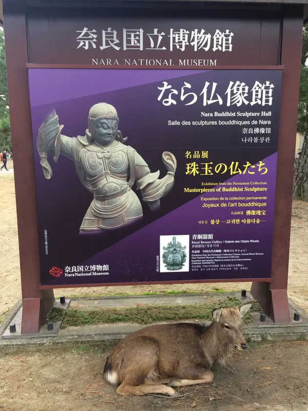 鹿が 鎮座している 看板前 🦌