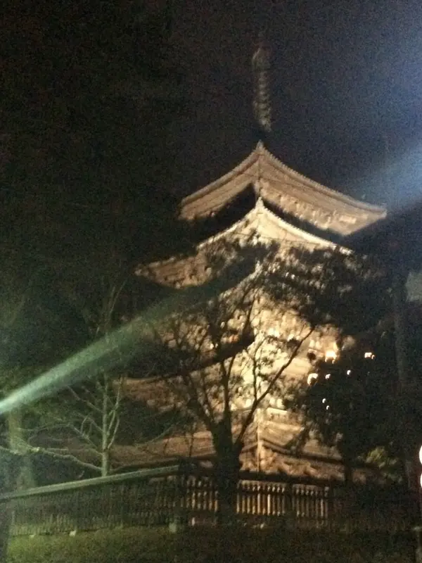 五重塔 ライトアップ