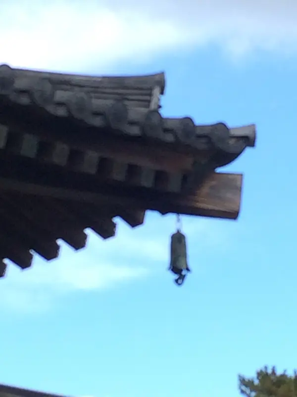 雲ひじき