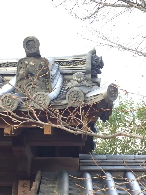 真ん中、タンポポ かなぁ〜？