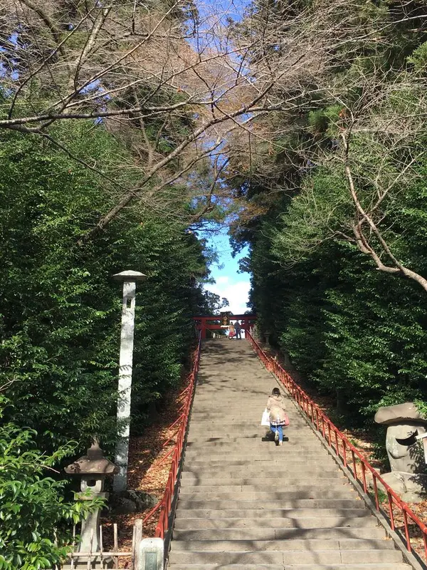 少し登ります。