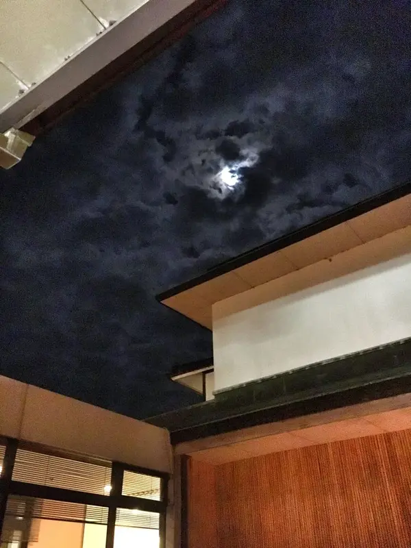 月夜を見ながら