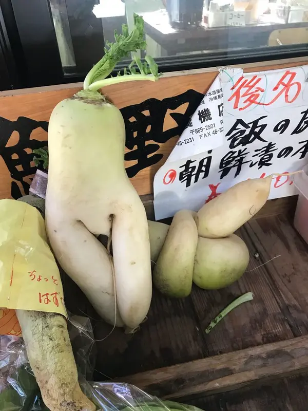 恥ずかしいわ♡