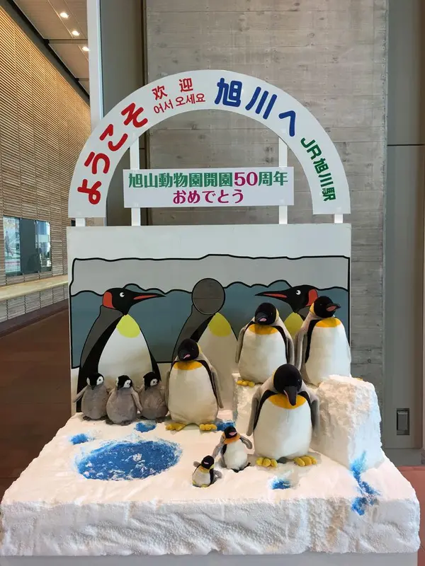 構内には旭川動物園の雰囲気があります！