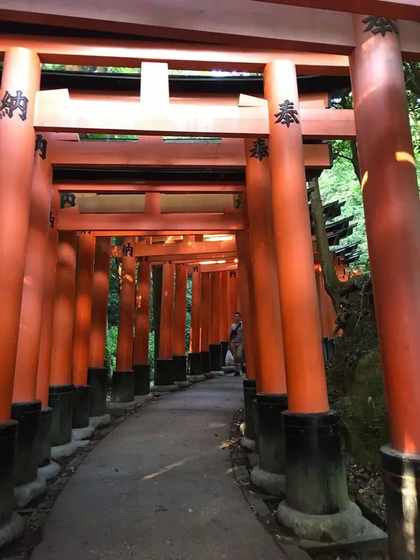鳥居信仰⛩篤き奉納