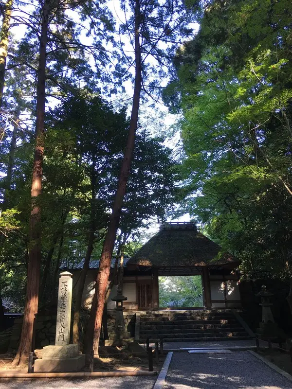 茅葺き屋根の静寂