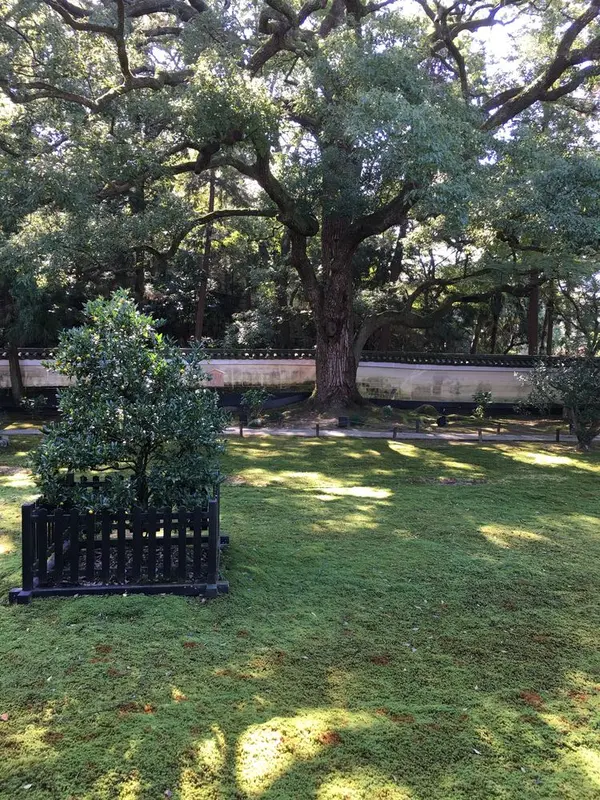 縁側からの眺め