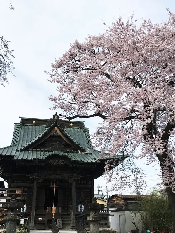さぁ、お参りしましょ🙏