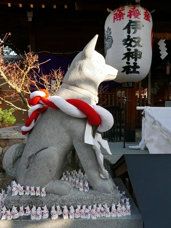 立派なお犬様