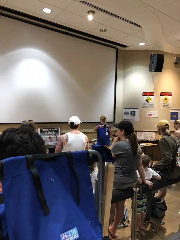 映画