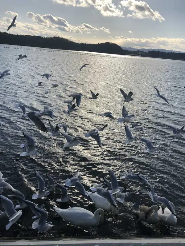 松ケ浦