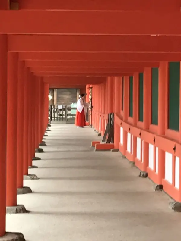 インスタ映えスポット🤳