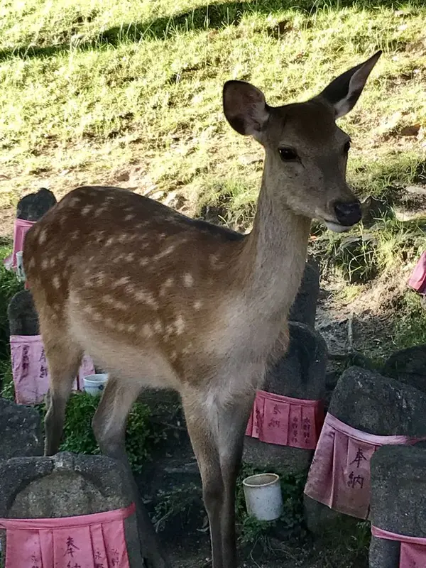 あらこんなところに！