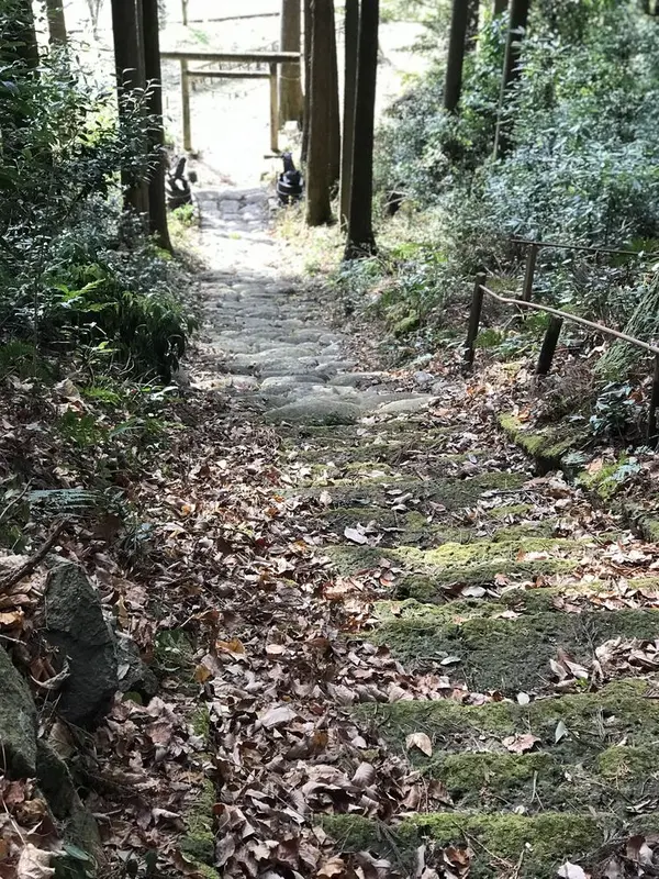 岩戸神話に触れよう…