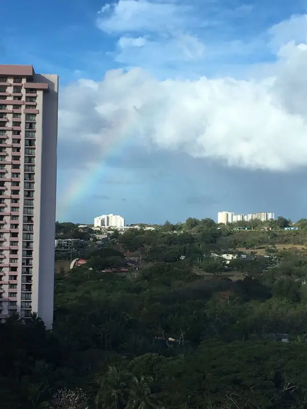 運が良ければ虹も見られるかも🌈