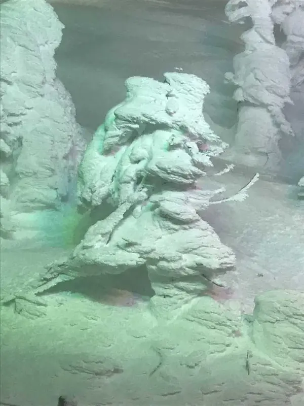 まさにスノーモンスター！
