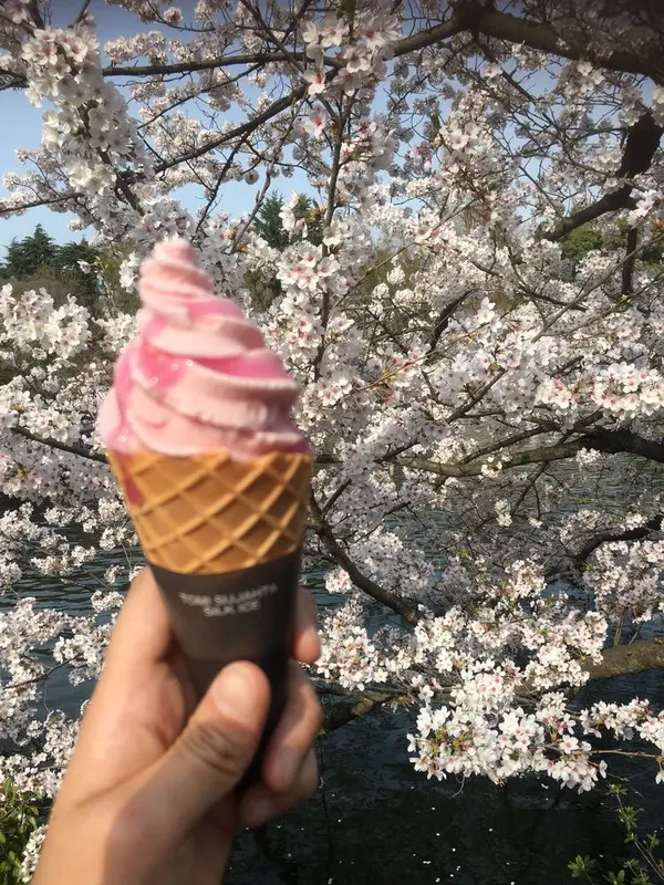 さくらのソフトクリームも！