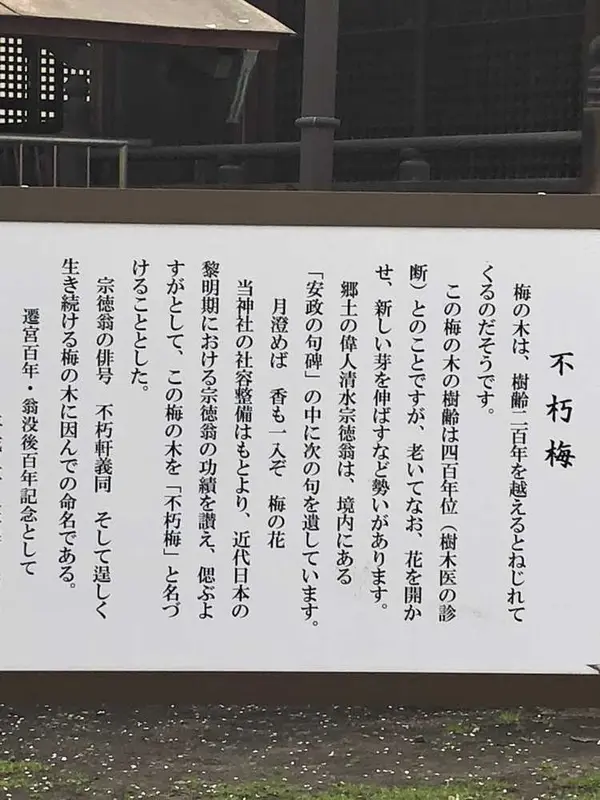 スポット内のおすすめ