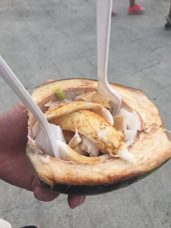 お刺身は甘いイカのような味🦑