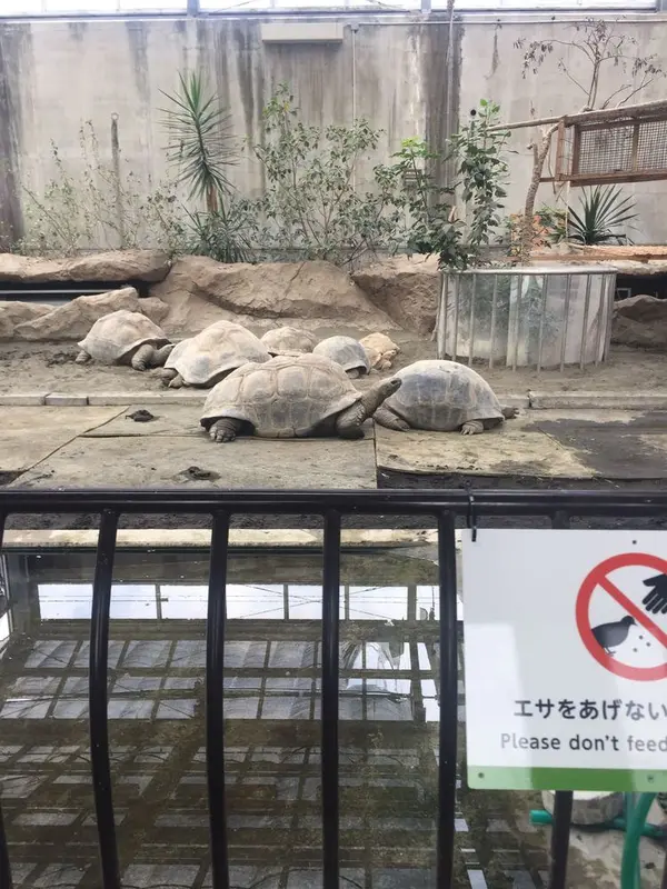 舐めたらアカン