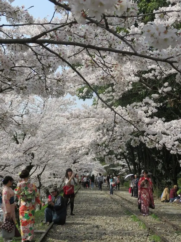 カメラを片手に