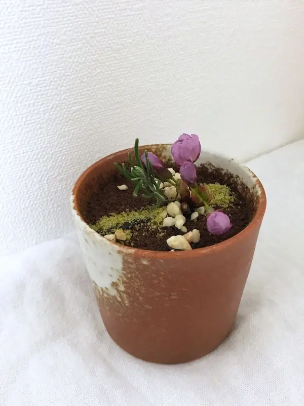 Patisserie EN KYOTO (パティスリー　エン）