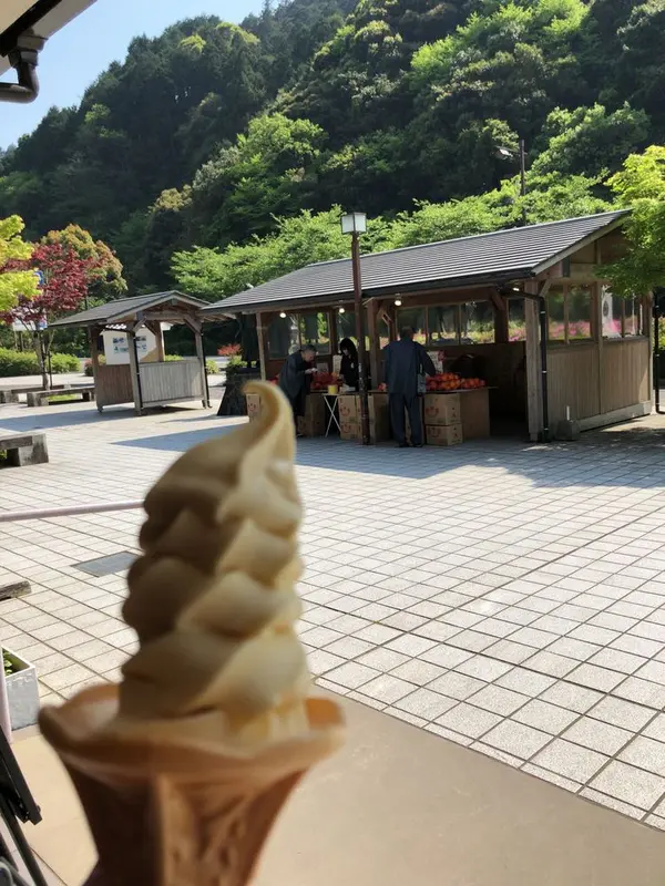 夏みかんソフト🍊