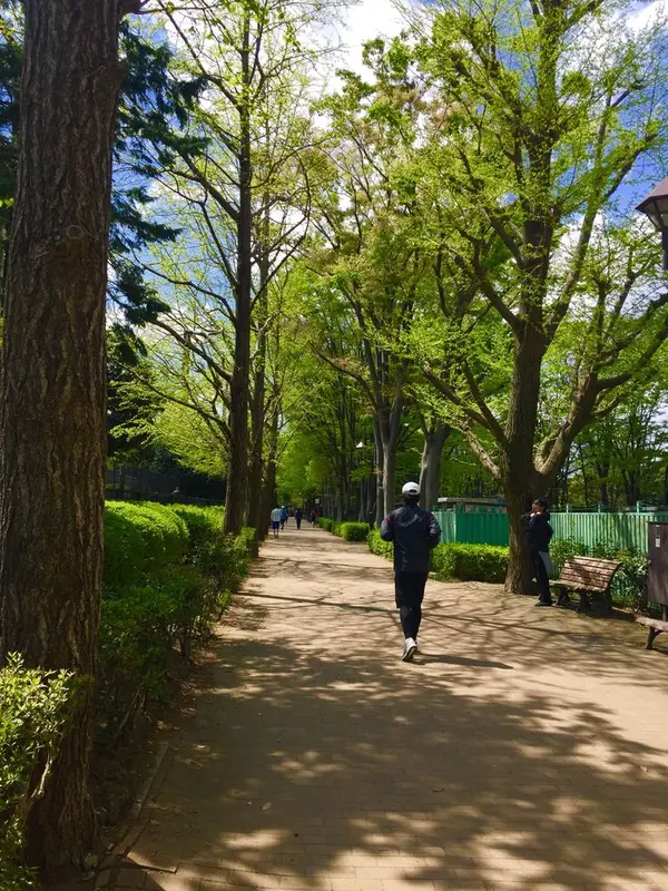 ランニングにもぴったり🏃‍♂️